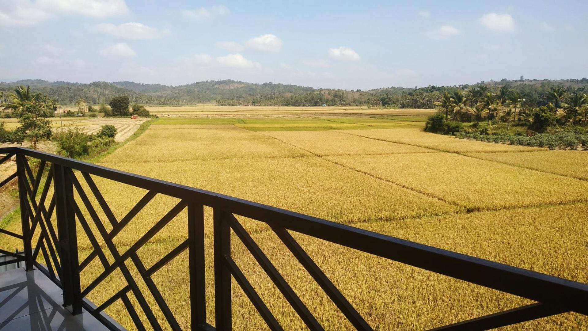 Paddyfield Inn 마난타바디 외부 사진